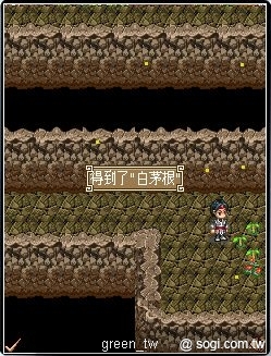 本文章相關圖片