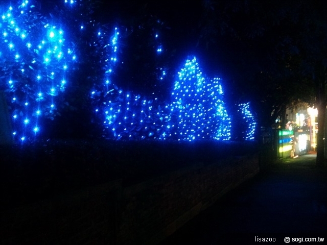 本文章相關圖片