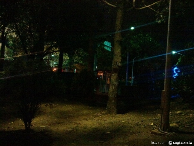 本文章相關圖片