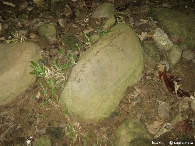 本文章相關圖片