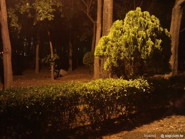 本文章相關圖片