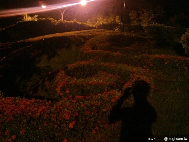 本文章相關圖片