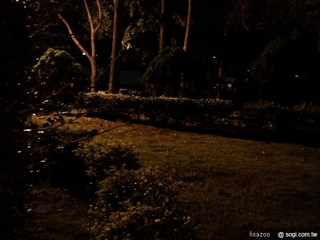 本文章相關圖片