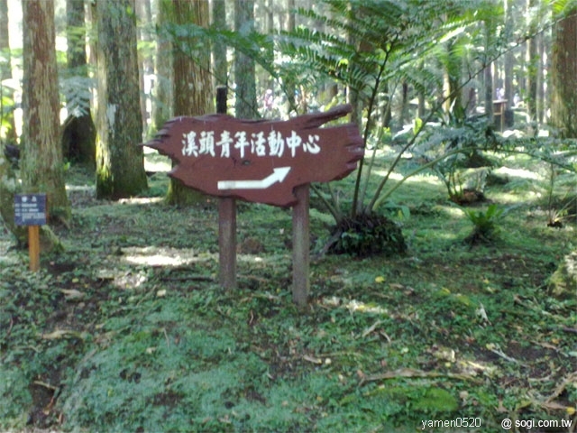 本文章相關圖片