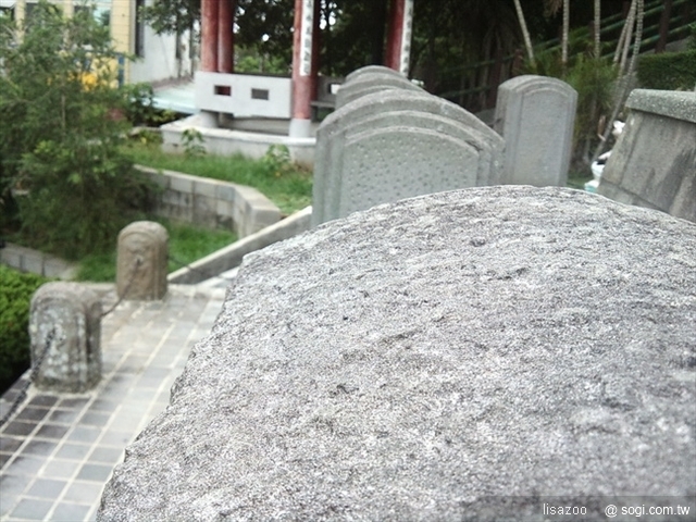 本文章相關圖片