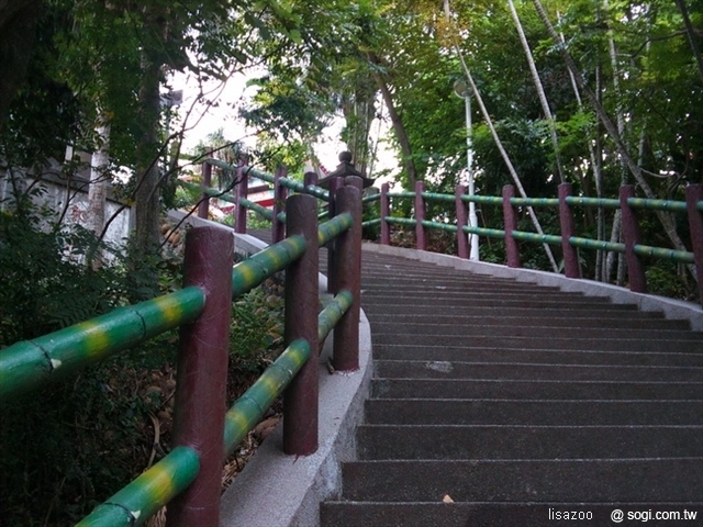 本文章相關圖片