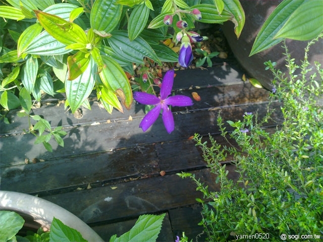 本文章相關圖片