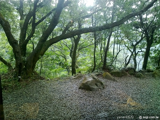 本文章相關圖片