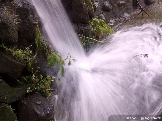 本文章相關圖片