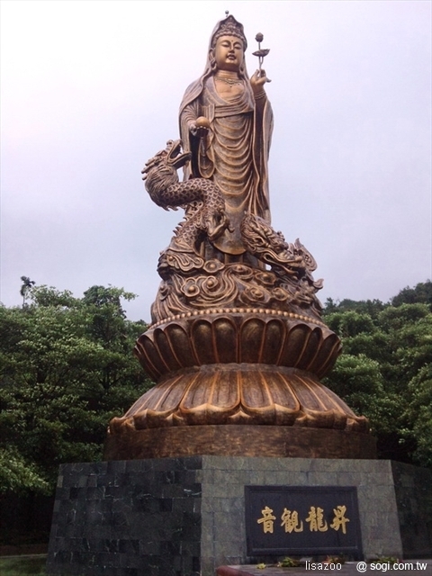 本文章相關圖片