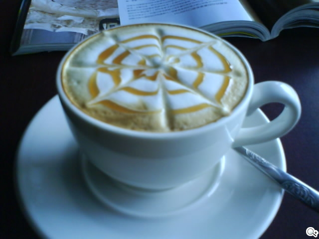 本文章相關圖片