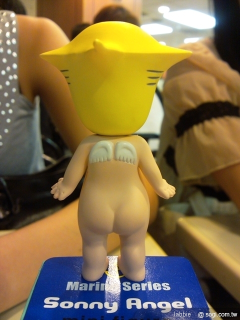 本文章相關圖片