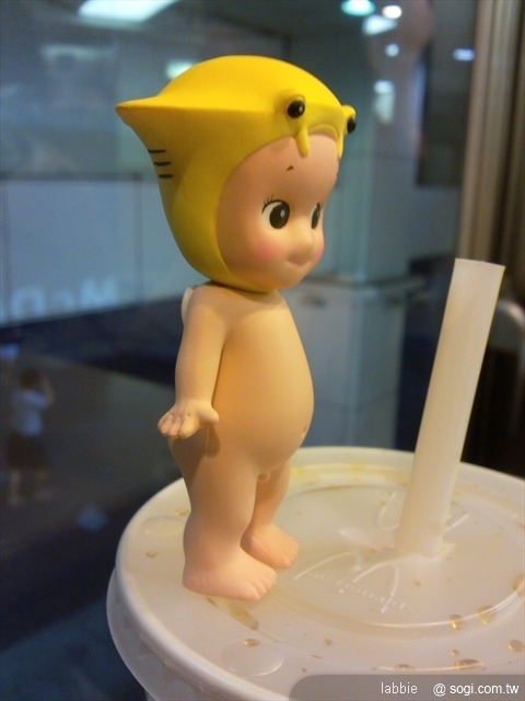 本文章相關圖片