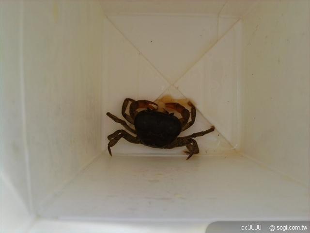 本文章相關圖片