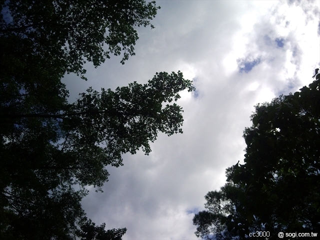 本文章相關圖片