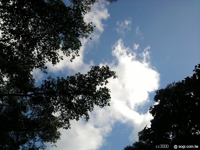 本文章相關圖片