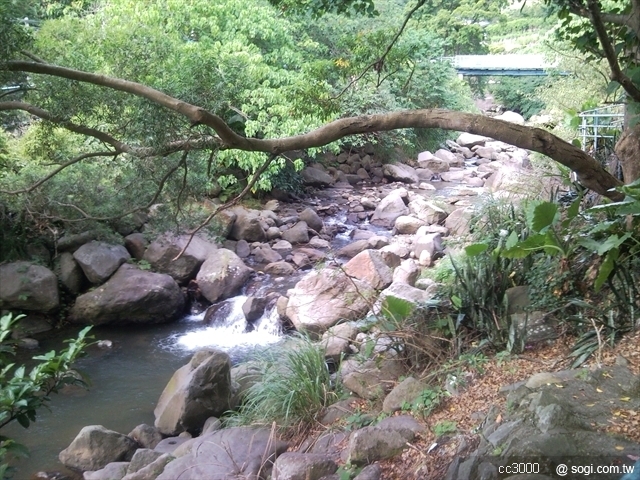 本文章相關圖片