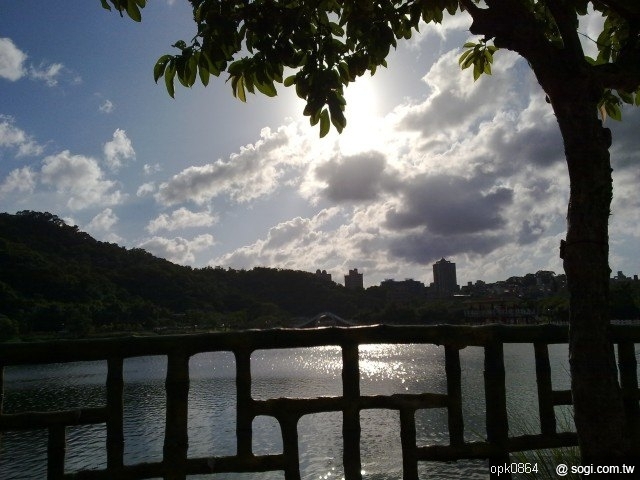 本文章相關圖片