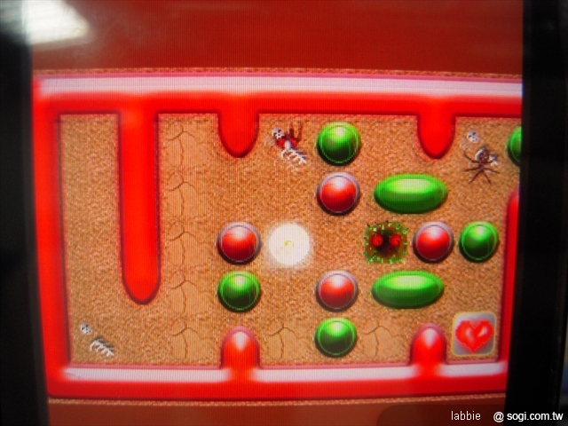 本文章相關圖片