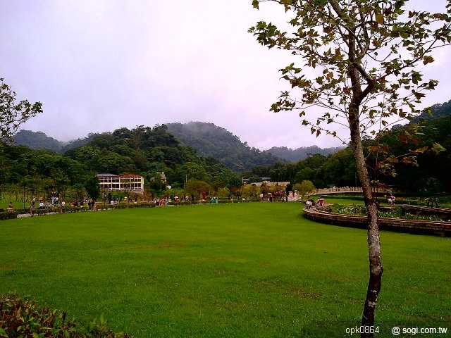 本文章相關圖片