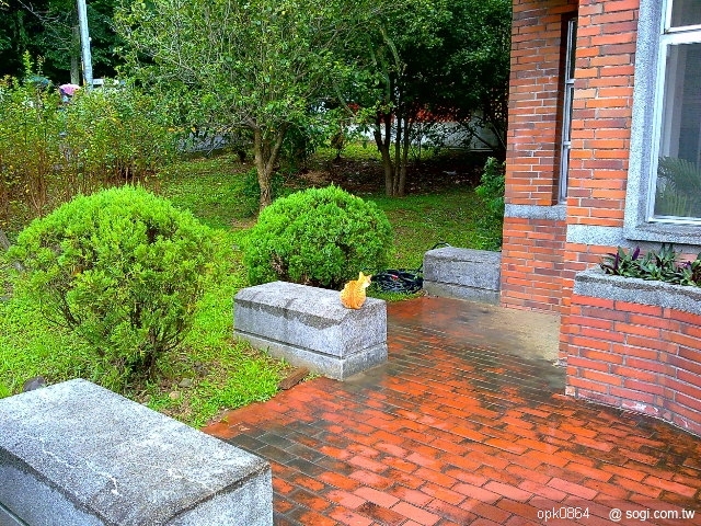 本文章相關圖片