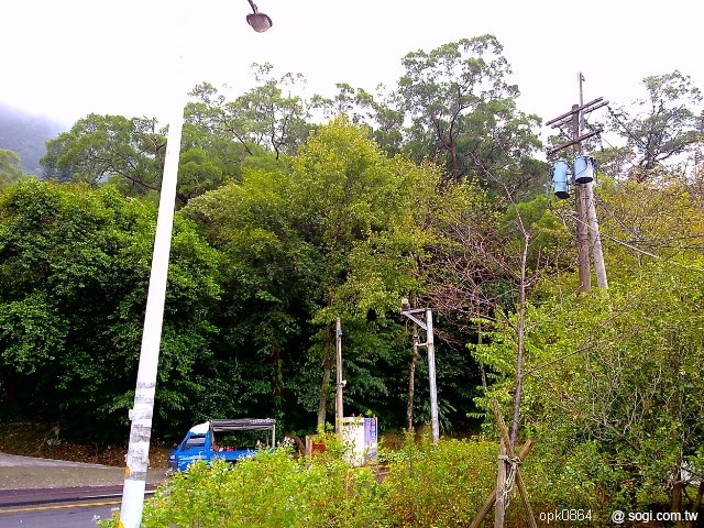 本文章相關圖片