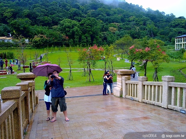 本文章相關圖片