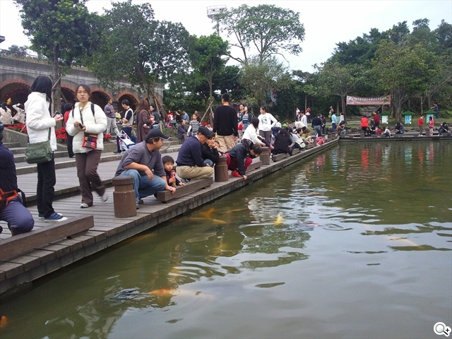 本文章相關圖片