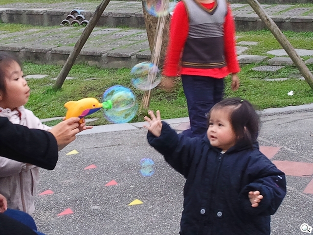 本文章相關圖片