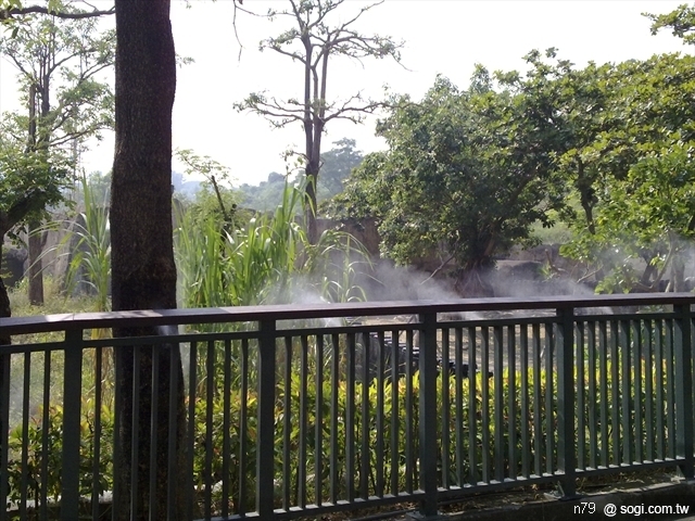 本文章相關圖片