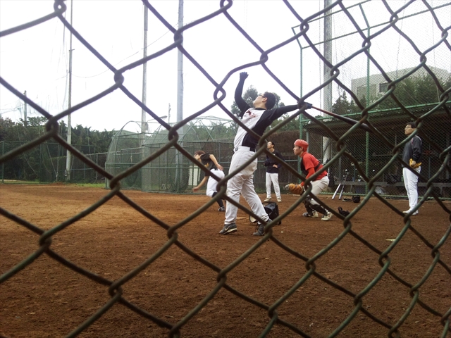 本文章相關圖片