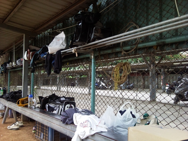 本文章相關圖片