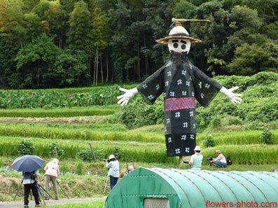 本文章相關圖片