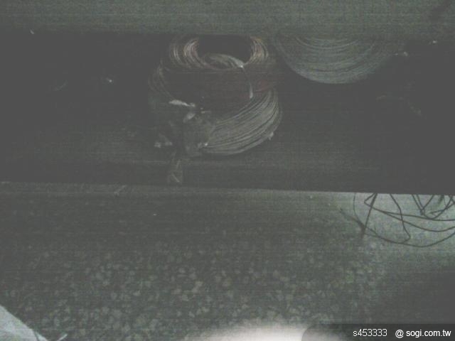 本文章相關圖片