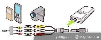 本文章相關圖片