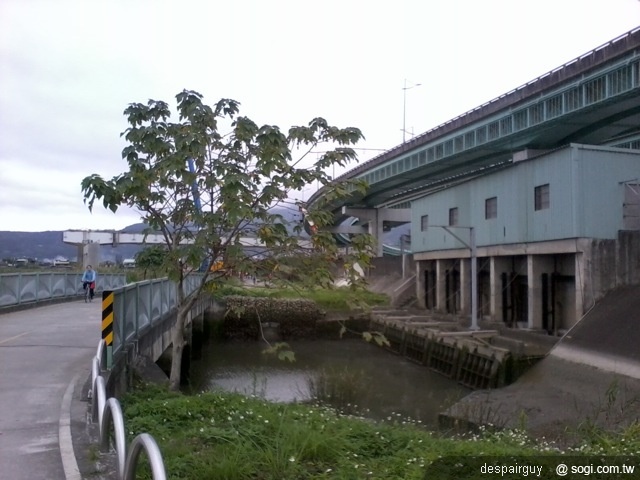 本文章相關圖片
