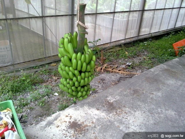 本文章相關圖片