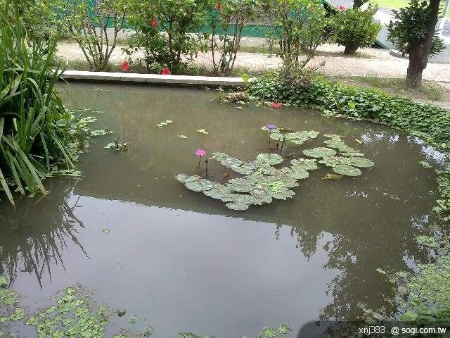 本文章相關圖片