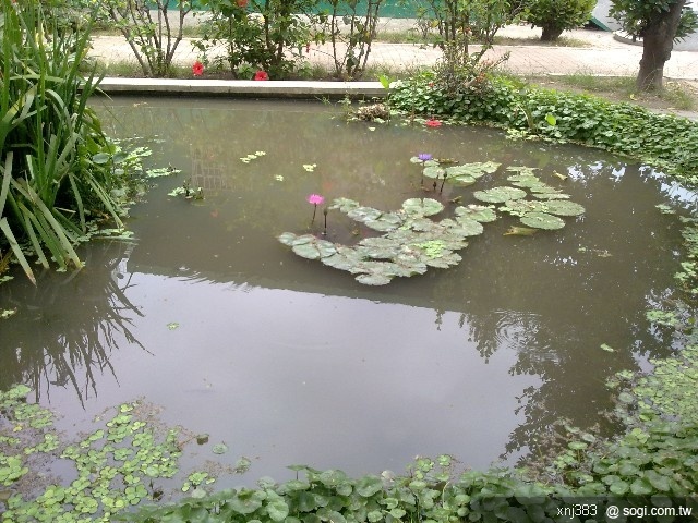 本文章相關圖片