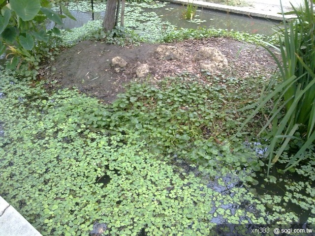 本文章相關圖片