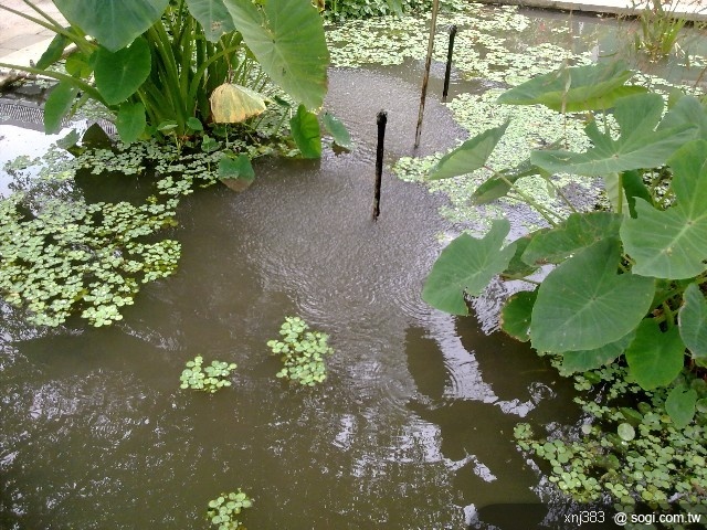 本文章相關圖片