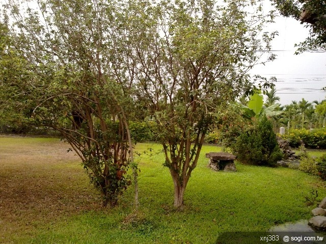 本文章相關圖片