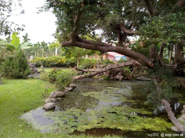 本文章相關圖片