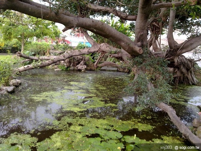 本文章相關圖片