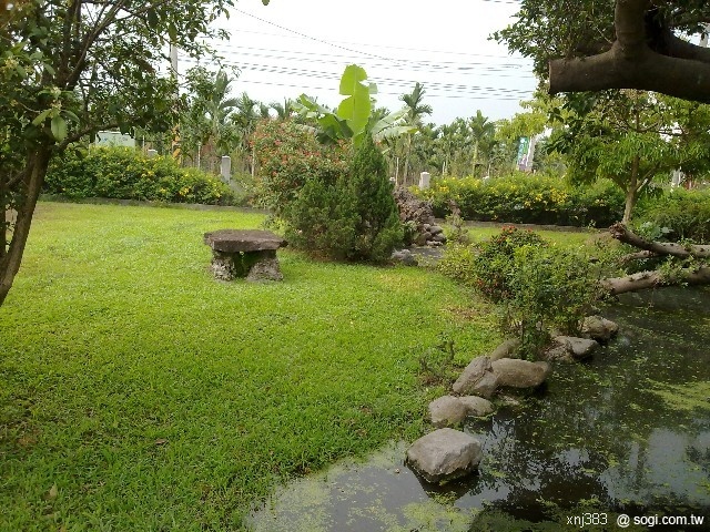 本文章相關圖片