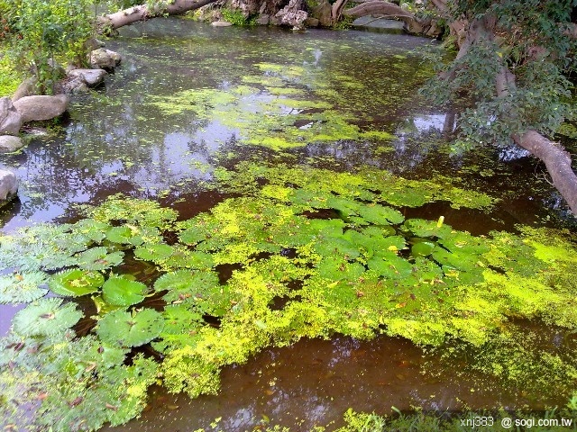 本文章相關圖片
