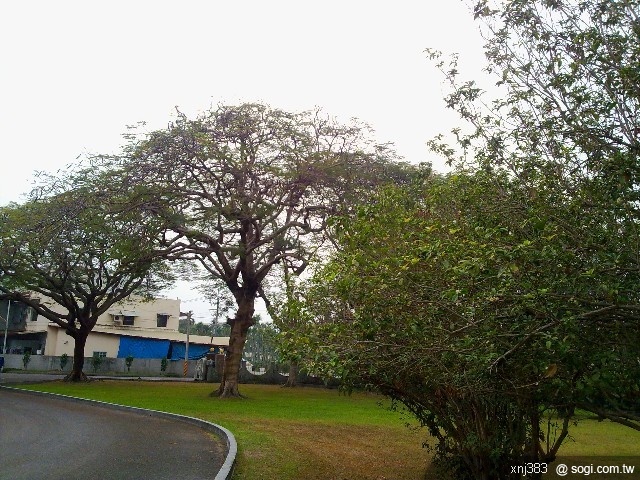 本文章相關圖片