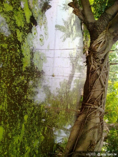 本文章相關圖片