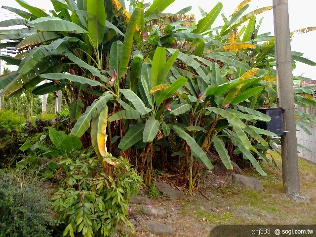 本文章相關圖片