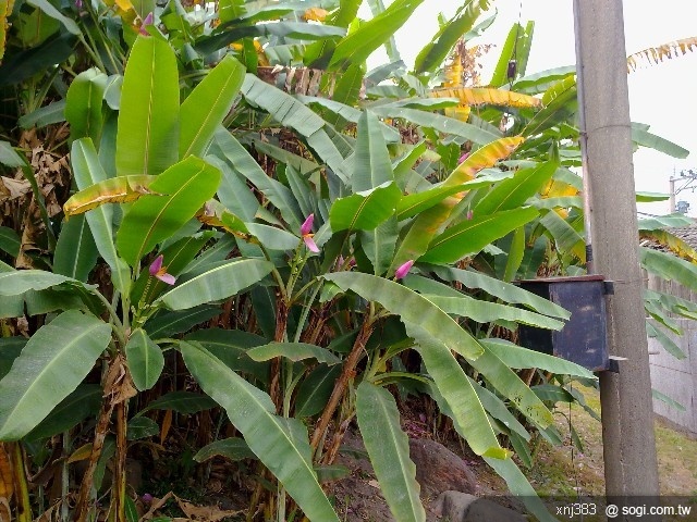 本文章相關圖片